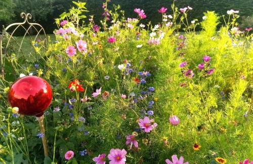 SEENAH - Ihre Wohnung am Bodensee / Untersee - Foto 17