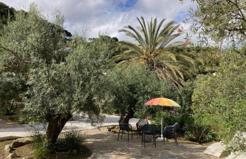 Cabaña La Pura Vida Yunquera - Foto 35