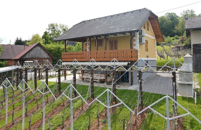 Vineyard Cottage Stepan - Foto 21