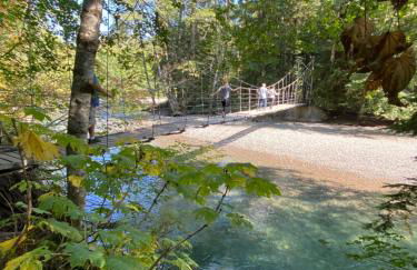 Elk Lodge - Photo 54