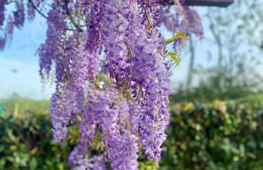 La Locanda Del Tevere - Foto 57