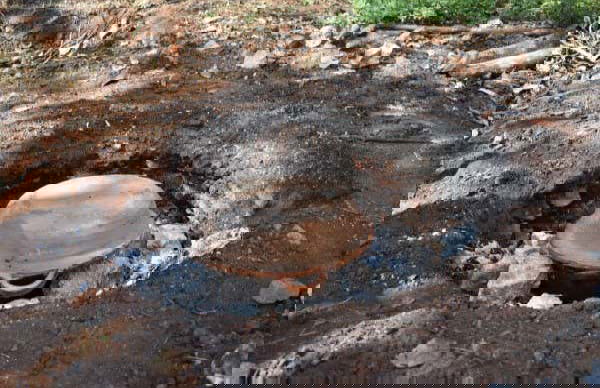 Visita guiada por el Parador Yaxunah - Foto 7