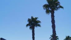 Oasis Beach juan - Foto 2