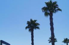 Oasis Beach juan - Foto 2