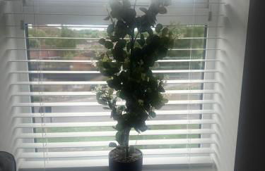 2 Beds Mint drive With Secure car Or Van Park w WiFi-Netflix No Deposit Required - Foto 13