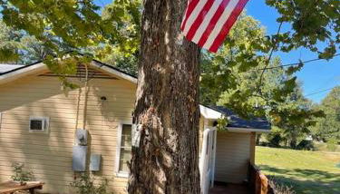 Shady Pine Cabin - Foto 4