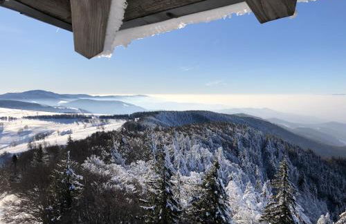 Schwarzwaldhimmel - Foto 35