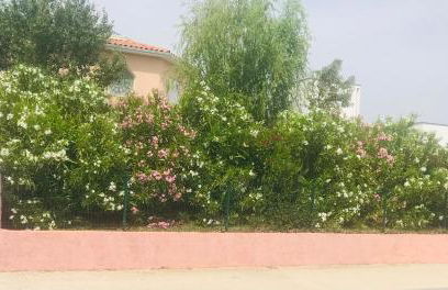 Moderne Mini Maison - Quartier Résidentiel Calme - Foto 74