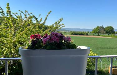 Deisterblick Ferienwohnung am Benther Berg - Foto 7