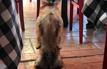 DAMIA HOTEL Apts - Foto 128