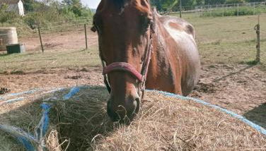 Anticopodere - Foto 5