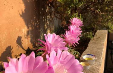 Le Viste su Ortano - Foto 32