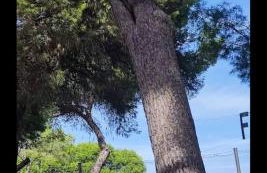 Beach apartment - Photo 16