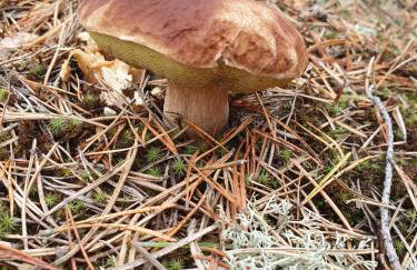 Przestronny, komfortowy dom - Foto 42