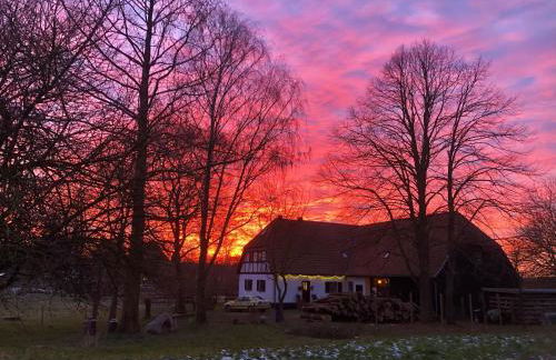 Ferienwohnung Bergfeld - Foto 1