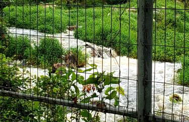 " Seu Cantinho" - Foto 37