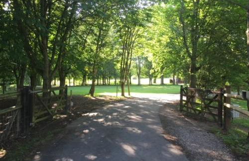 Holly's Lodge - Photo 28