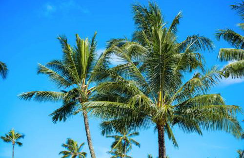 Hanalei Waterfalls House TVNC #5120 - Foto 51