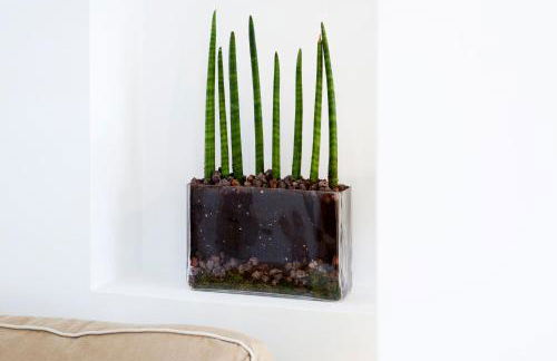 Apartamento en Santa Cruz - Foto 17