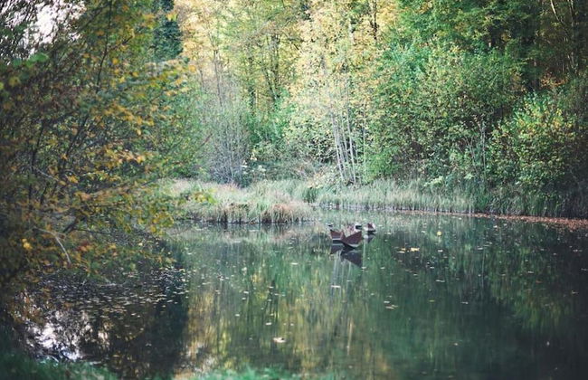 Bungalow in Virton Near Vallee de Rabais Lake - Foto 26