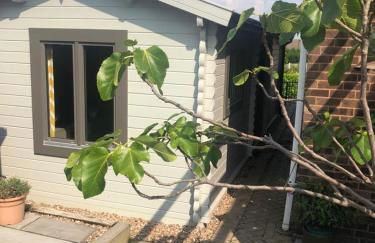 Nancy's Cabin - Foto 16