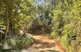 Cabana de Vidro - Canelinha - Photo 10