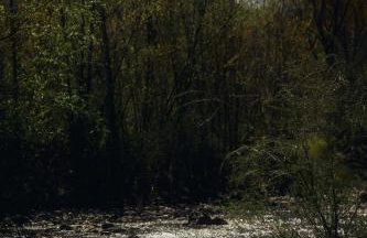 Le Case di Rosie, Tuscan Mountain View apartment, Pool - Foto 11