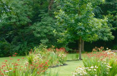 Paddler's Lane Retreat - Foto 38