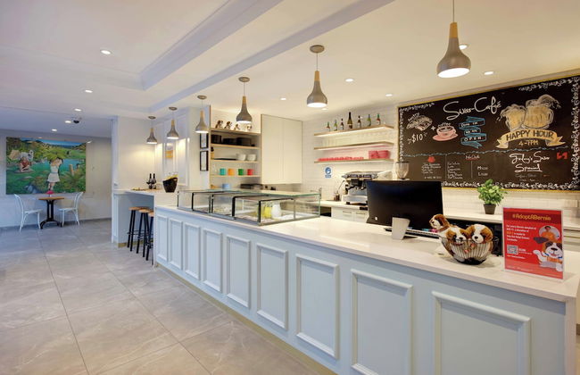 Swiss-Belsuites Victoria Park Auckland - Foto 34