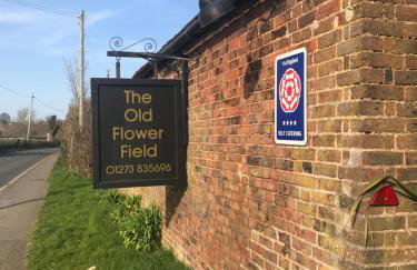 The Old Flower Field - Foto 21