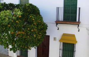 Casa Rural Casa Ronda - Foto 2