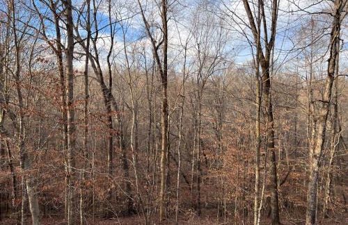 Turkey Creek Cabin Rentals #2 at Tims Ford lake - Foto 56