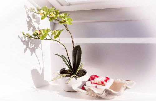 Drei Kaiser Blick - Foto 17