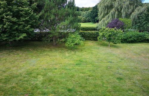 Ferienwohnung-im-Gruenen-zwischen-Binz-und-Sellin - Foto 7