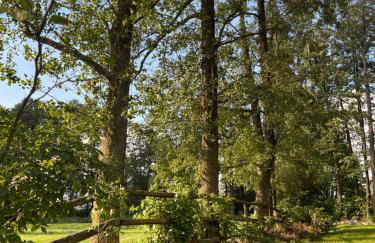 Mirabelka - domek - Foto 30