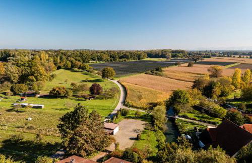 Haus Schwarzwald - Foto 24