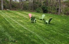 Sunshine Beautiful - Foto 4