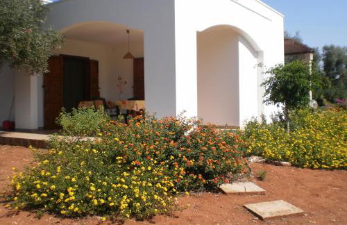 Tenuta Cazzato - Foto 6