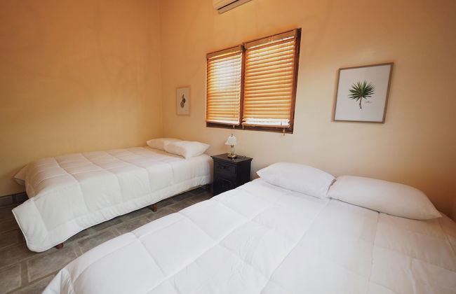 Opera Salvaje N.27 - Foto 6