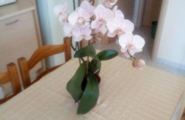 Melina's apartment - Foto 22