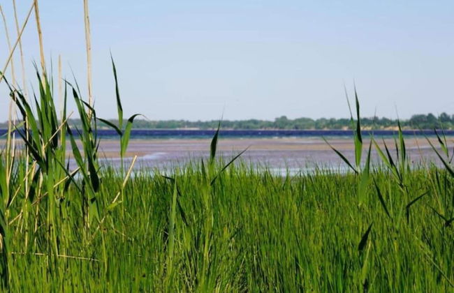 Stilvolle Wohnung mit Garten in Kluetz - Foto 22
