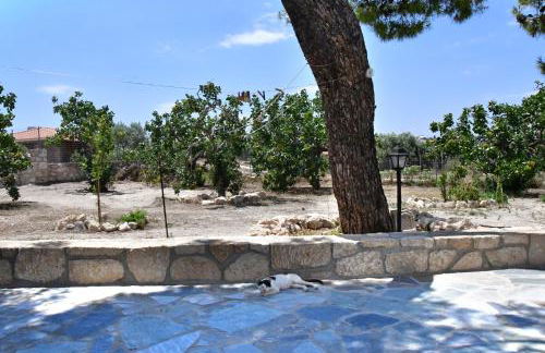 Mitsakos Golden House - Foto 18