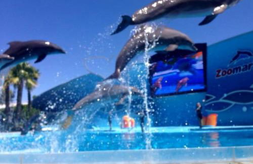 Villa Belavista - Moradia para Famílias - Foto 39