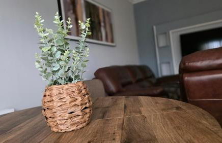 ANSI Splendor - Foto 6