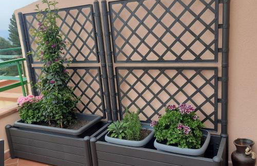 La Terrazza sul Mare - Foto 6