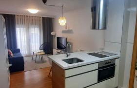 Apartamento auditorio centro - Foto 2