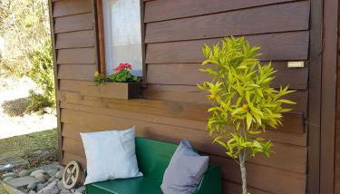 Ferienhaus Bussard - Photo 2