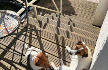 Studio en duplex indépendant - Foto 22