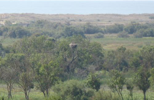 Gîte des Jonquiès, au calme vue sur le canal du midi et la mer - Foto 7