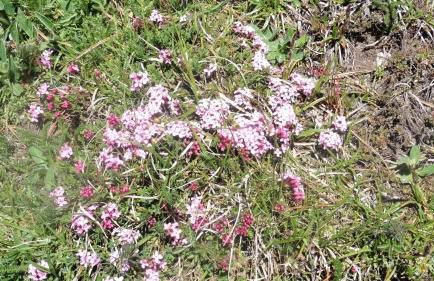 Apartamentos L´Era de Baix - Foto 43